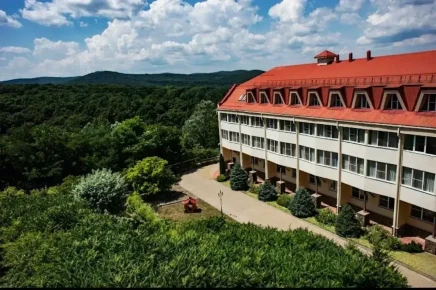 Кровля из профнастила Кровля из профнастила
